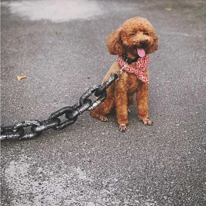 Fun Iron Dog Chain