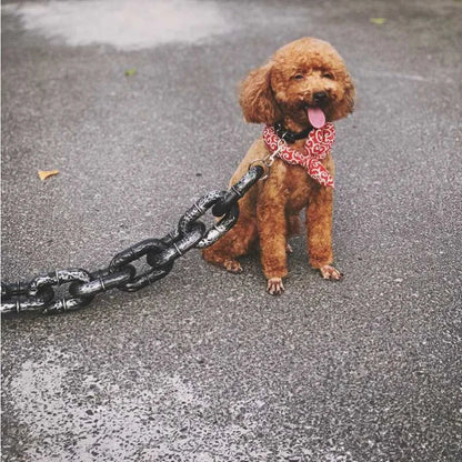 Fun Iron Dog Chain