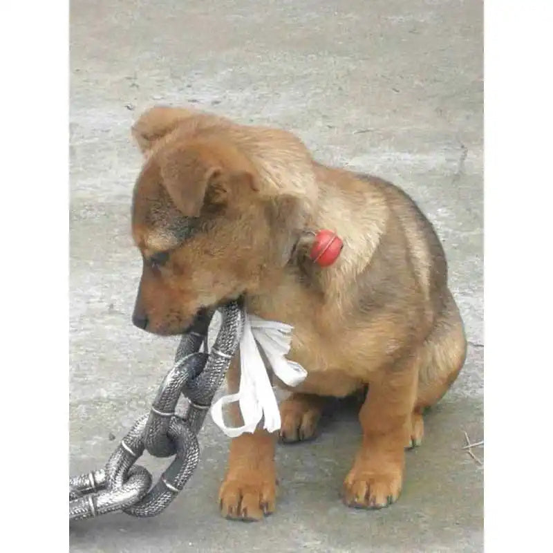 Fun Iron Dog Chain